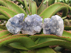 Natural Blue Celestite Cluster Specimens x 4 From Sakoany, Madagascar - Toprock Gemstones and Minerals 