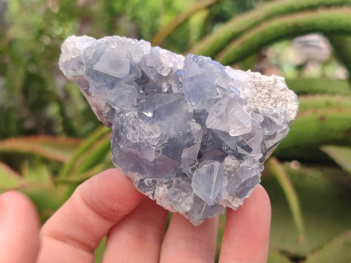 Natural Blue Celestite Cluster Specimens x 4 From Sakoany, Madagascar - Toprock Gemstones and Minerals 