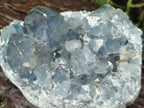Natural Blue Celestite Cluster Specimens x 4 From Sakoany, Madagascar - Toprock Gemstones and Minerals 