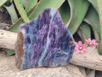 Polished Large Watermelon Fluorite Slice x 1 From Uis, Namibia - Toprock Gemstones and Minerals 