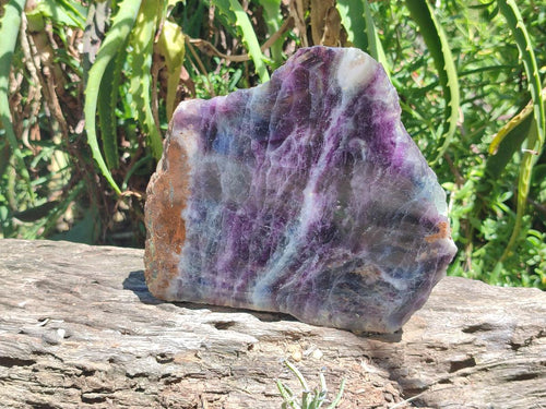 Polished Large Watermelon Fluorite Slice x 1 From Uis, Namibia - Toprock Gemstones and Minerals 