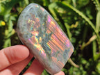 Polished Rare Purple Sunset Flash Labradorite Standing Free Forms x 6 From Madagascar - Toprock Gemstones and Minerals 