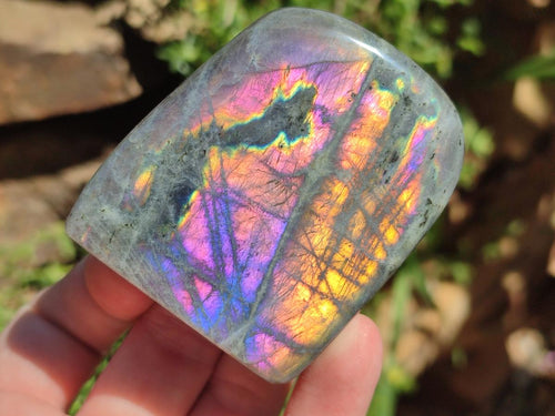 Polished Rare Purple Sunset Flash Labradorite Standing Free Forms x 6 From Madagascar - Toprock Gemstones and Minerals 