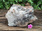 Natural Large Rare Bladed Barite Specimen x 1 From Congo - Toprock Gemstones and Minerals 
