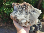 Natural Large Rare Bladed Barite Specimen x 1 From Congo - Toprock Gemstones and Minerals 