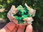 Natural Crystalline Malachite Specimens x 6 From Tenke Fungurume, Congo - Toprock Gemstones and Minerals 
