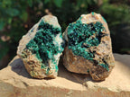 Natural Crystalline Malachite Specimens x 6 From Tenke Fungurume, Congo - Toprock Gemstones and Minerals 