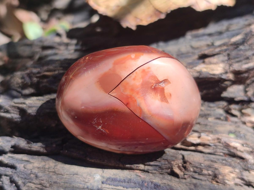 Polished Mix of Carnelian and Clear Quarts Palm Stones x 20 From Madagascar - Toprock Gemstones and Minerals 