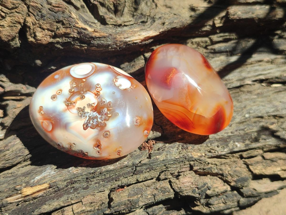 Polished Mix of Carnelian and Clear Quarts Palm Stones x 20 From Madagascar - Toprock Gemstones and Minerals 