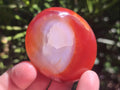 Polished Mix of Carnelian and Clear Quarts Palm Stones x 20 From Madagascar - Toprock Gemstones and Minerals 