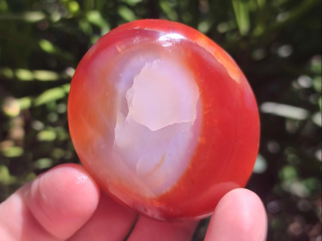 Polished Mix of Carnelian and Clear Quarts Palm Stones x 20 From Madagascar - Toprock Gemstones and Minerals 