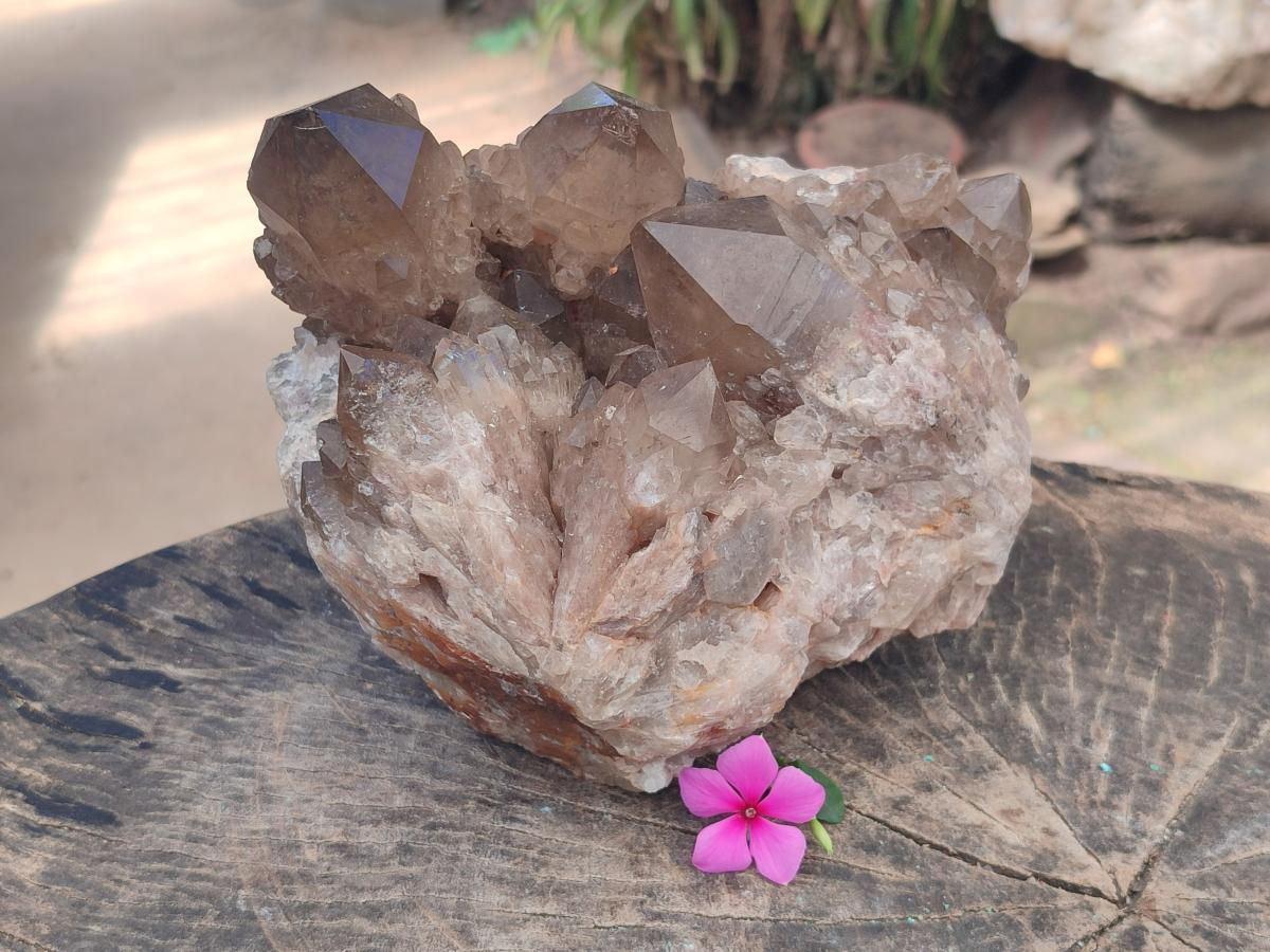 Natural Large Cascading Smokey Citrine Quartz Cluster with Phantoms x 1 From Luena, Congo - Toprock Gemstones and Minerals 