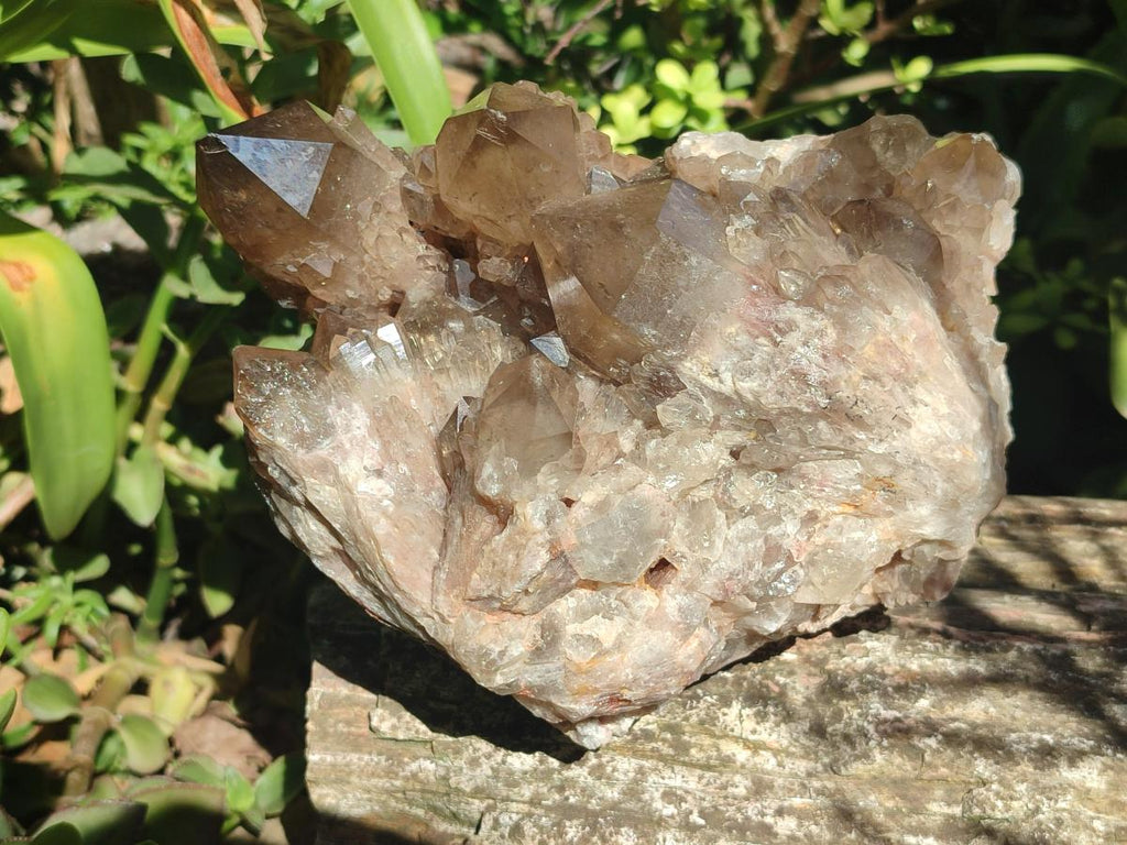 Natural Large Cascading Smokey Citrine Quartz Cluster with Phantoms x 1 From Luena, Congo - Toprock Gemstones and Minerals 