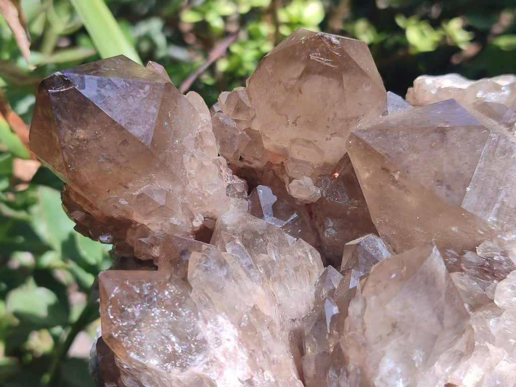 Natural Large Cascading Smokey Citrine Quartz Cluster with Phantoms x 1 From Luena, Congo - Toprock Gemstones and Minerals 