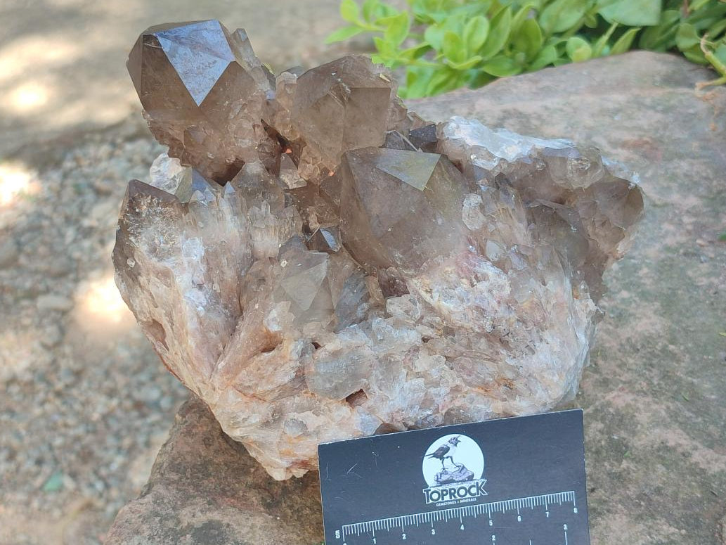 Natural Large Cascading Smokey Citrine Quartz Cluster with Phantoms x 1 From Luena, Congo - Toprock Gemstones and Minerals 