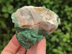 Natural Swazi Jade Cobbed Specimens x 12 From Swaziland - Toprock Gemstones and Minerals 