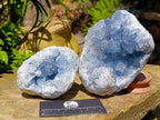 Natural Blue Celestite Geode and Cluster Specimens x 2 From Sakoany, Madagascar - Toprock Gemstones and Minerals 