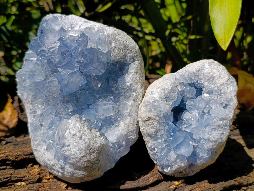 Natural Blue Celestite Geode and Cluster Specimens x 2 From Sakoany, Madagascar - Toprock Gemstones and Minerals 