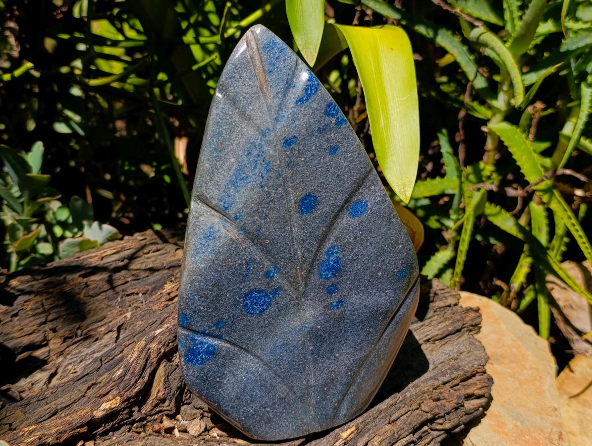 Polished Large Blue Spotted Spinel Leaf Carving x 1 From Madagascar - Toprock Gemstones and Minerals 