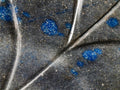 Polished Large Blue Spotted Spinel Leaf Carving x 1 From Madagascar - Toprock Gemstones and Minerals 