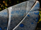 Polished Large Blue Spotted Spinel Leaf Carving x 1 From Madagascar - Toprock Gemstones and Minerals 