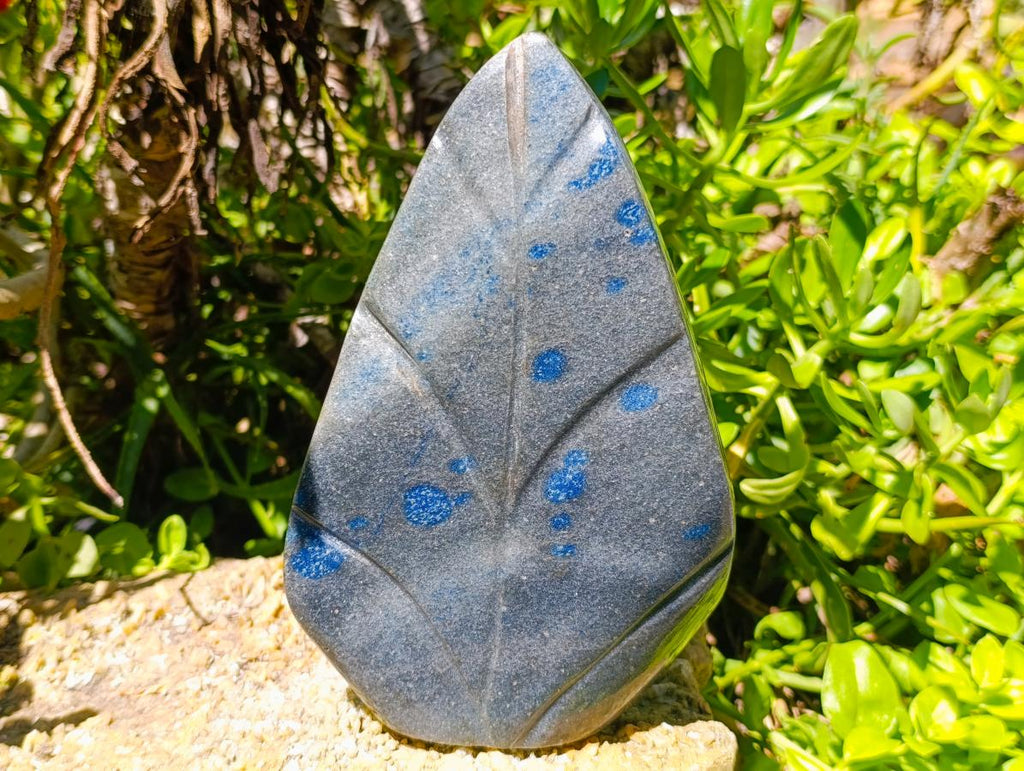 Polished Large Blue Spotted Spinel Leaf Carving x 1 From Madagascar - Toprock Gemstones and Minerals 