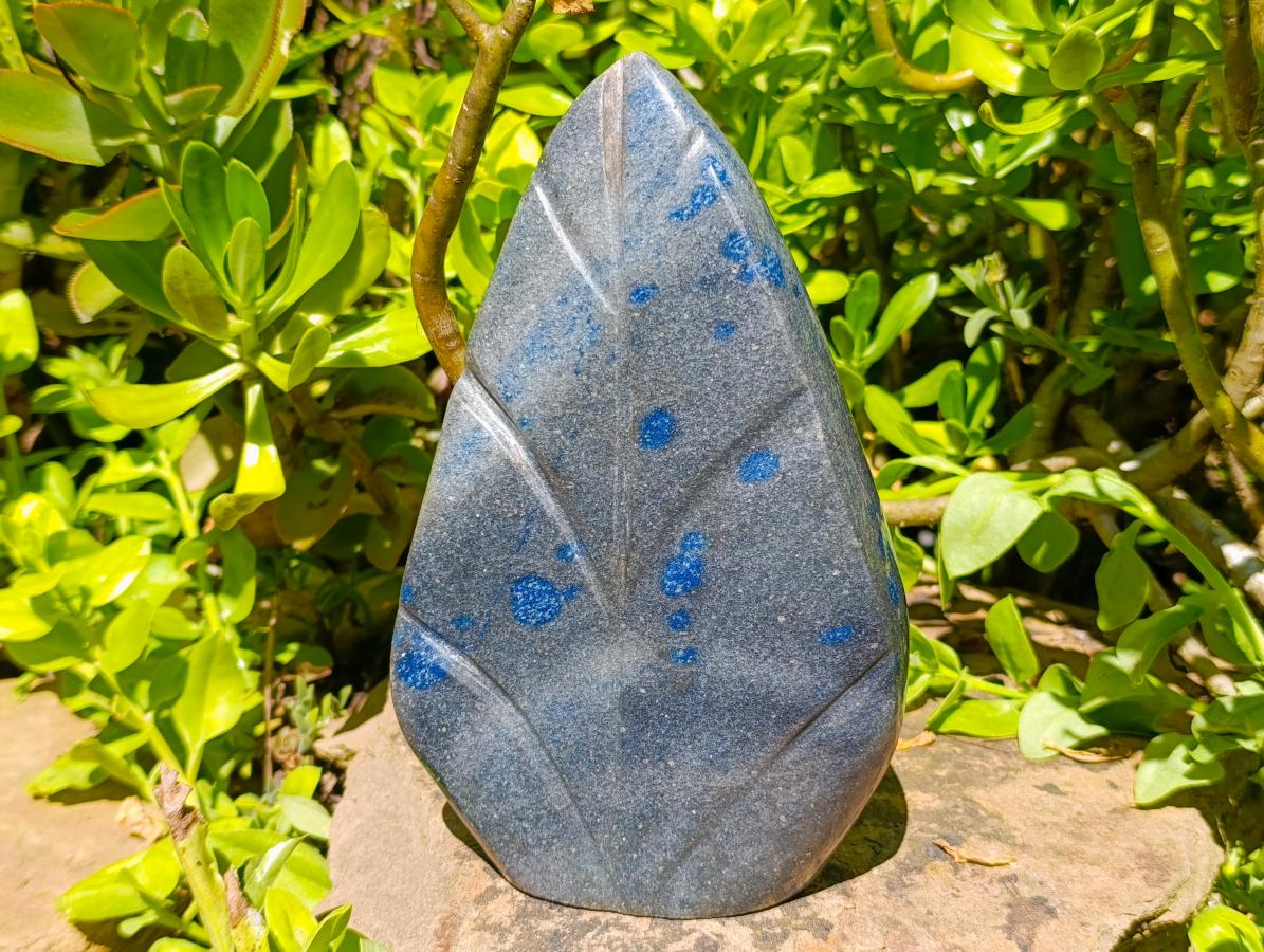 Polished Large Blue Spotted Spinel Leaf Carving x 1 From Madagascar - Toprock Gemstones and Minerals 