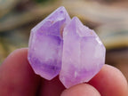 Natural Lilac Amethyst Crystals x 3 kg Lot From Madagascar - Toprock Gemstones and Minerals 