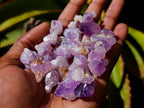 Natural Lilac Amethyst Crystals x 3 kg Lot From Madagascar - Toprock Gemstones and Minerals 
