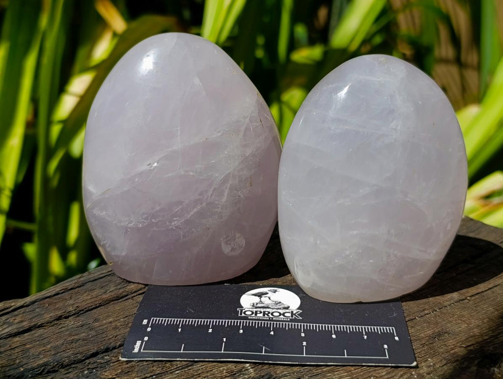 Polished Gemmy Rose Quartz Standing Free Forms x 3 From Madagascar - Toprock Gemstones and Minerals 