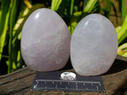 Polished Gemmy Rose Quartz Standing Free Forms x 3 From Madagascar - Toprock Gemstones and Minerals 