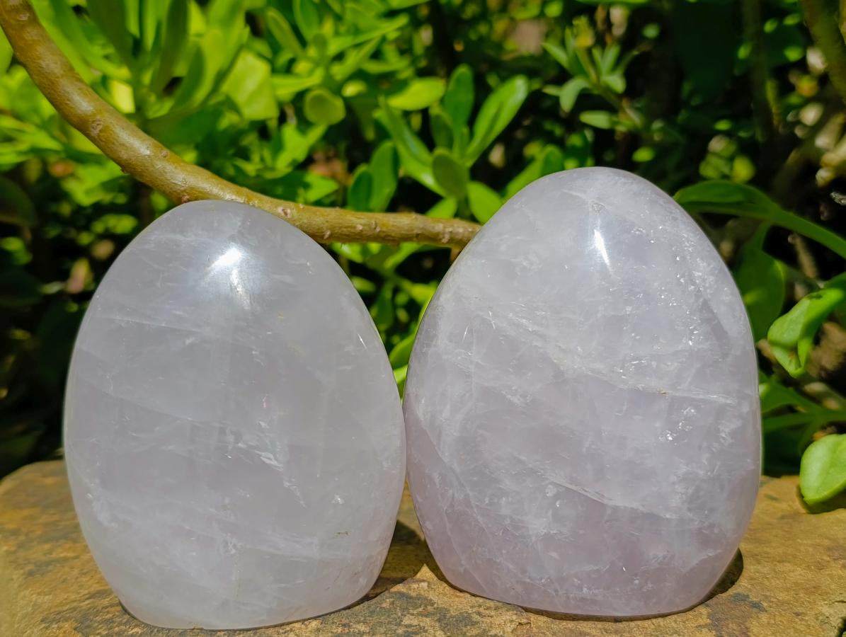 Polished Gemmy Rose Quartz Standing Free Forms x 3 From Madagascar - Toprock Gemstones and Minerals 