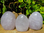 Polished Gemmy Rose Quartz Standing Free Forms x 3 From Madagascar - Toprock Gemstones and Minerals 
