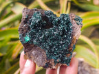Natural Crystalline Malachite Specimens x 6 From Tenke Fungurume, Congo - Toprock Gemstones and Minerals 