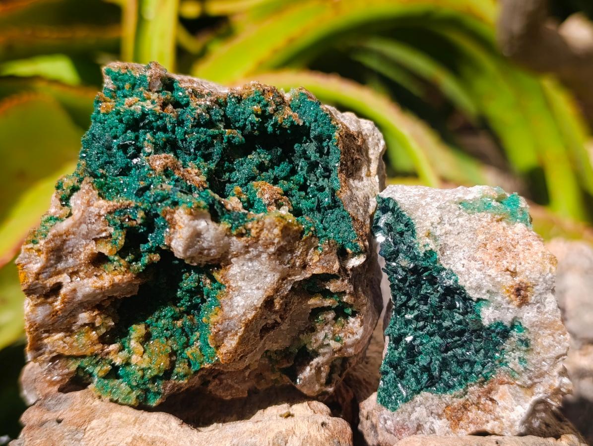 Natural Crystalline Malachite Specimens x 6 From Tenke Fungurume, Congo - Toprock Gemstones and Minerals 