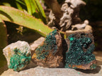 Natural Crystalline Malachite Specimens x 6 From Tenke Fungurume, Congo - Toprock Gemstones and Minerals 