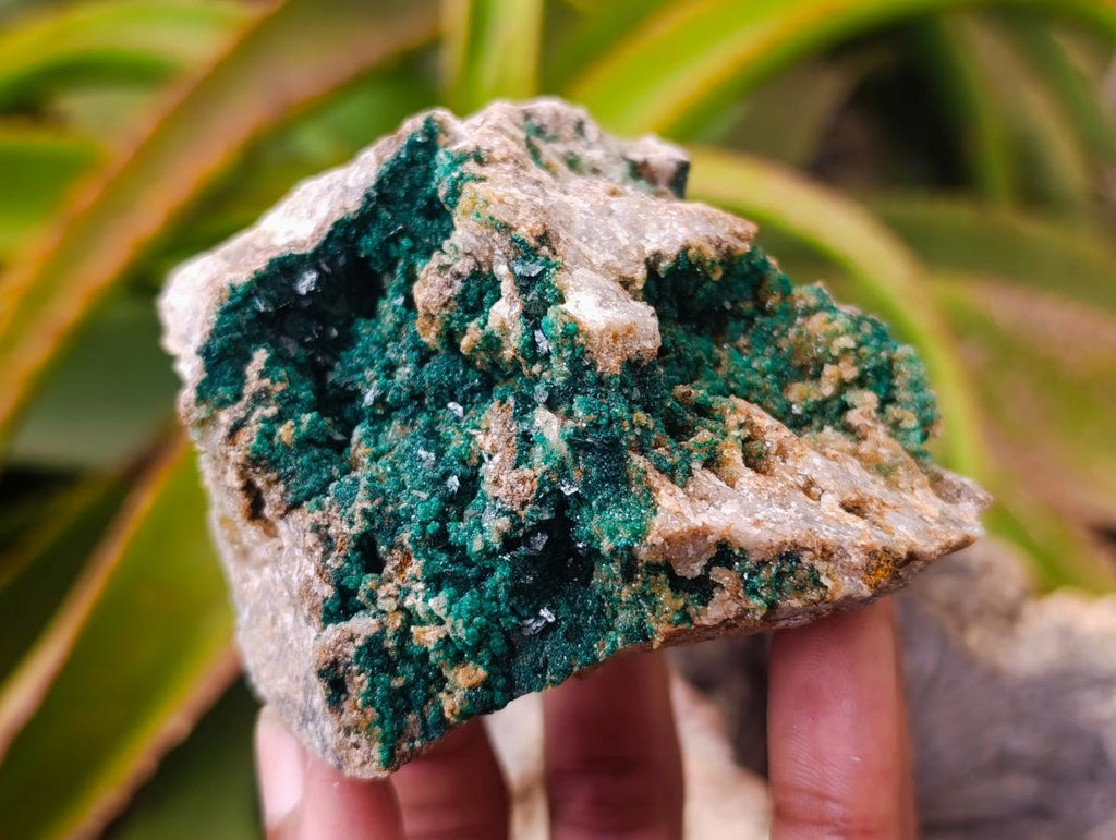 Natural Crystalline Malachite Specimens x 6 From Tenke Fungurume, Congo - Toprock Gemstones and Minerals 