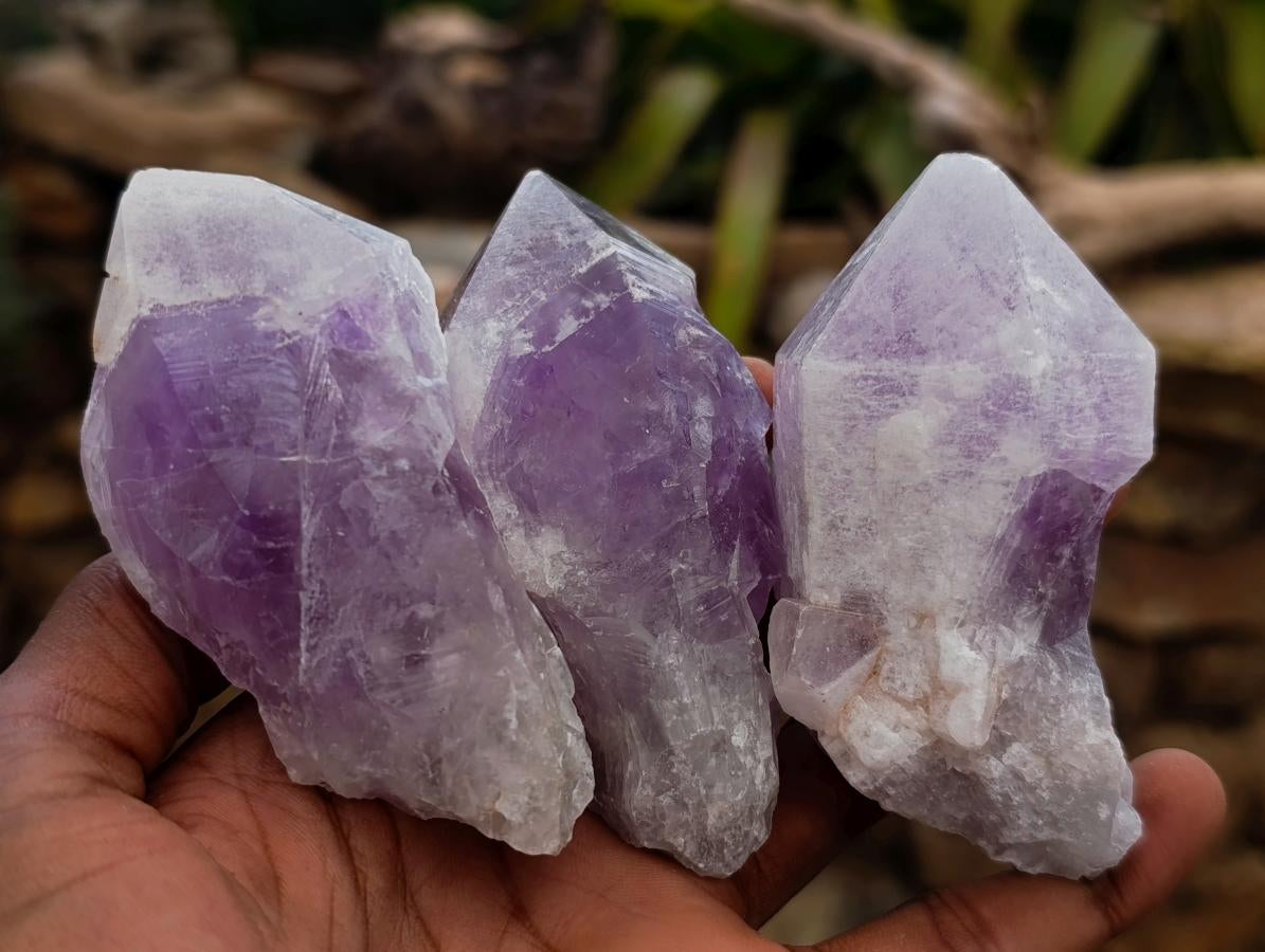 Natural Jacaranda Amethyst Single Crystals x 24 From Mumbwa, Zambia