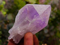 Natural Jacaranda Amethyst Single Crystals x 24 From Mumbwa, Zambia - Toprock Gemstones and Minerals 