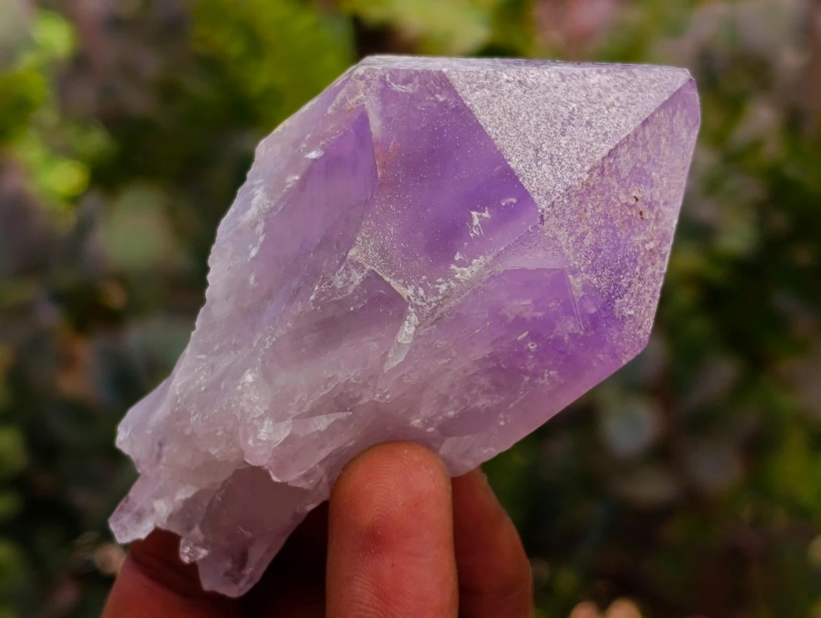 Natural Jacaranda Amethyst Single Crystals x 24 From Mumbwa, Zambia - Toprock Gemstones and Minerals 