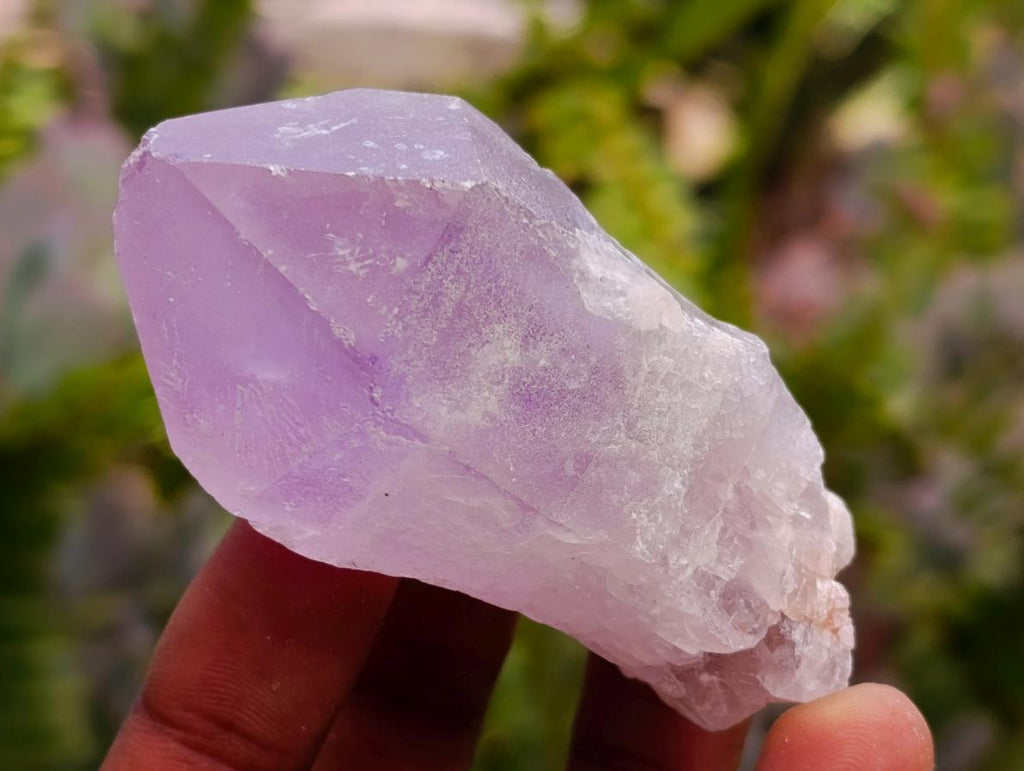 Natural Jacaranda Amethyst Single Crystals x 24 From Mumbwa, Zambia - Toprock Gemstones and Minerals 
