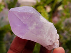 Natural Jacaranda Amethyst Single Crystals x 24 From Mumbwa, Zambia - Toprock Gemstones and Minerals 