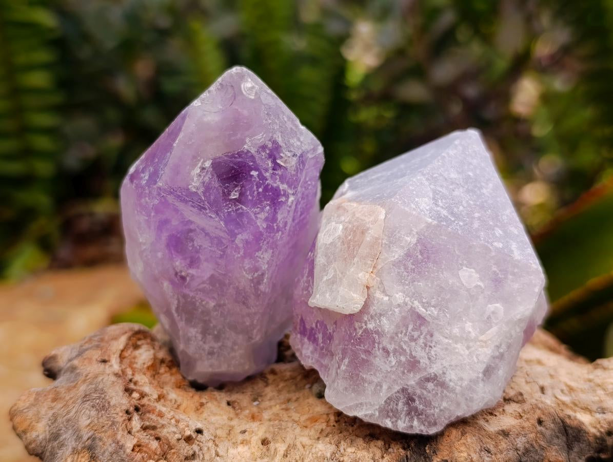 Natural Jacaranda Amethyst Single Crystals x 24 From Mumbwa, Zambia - Toprock Gemstones and Minerals 