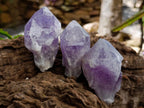 Natural Jacaranda Amethyst Single Crystals x 24 From Mumbwa, Zambia - Toprock Gemstones and Minerals 