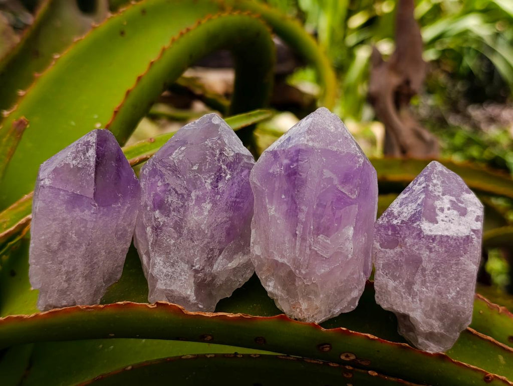 Natural Jacaranda Amethyst Single Crystals x 24 From Mumbwa, Zambia - Toprock Gemstones and Minerals 