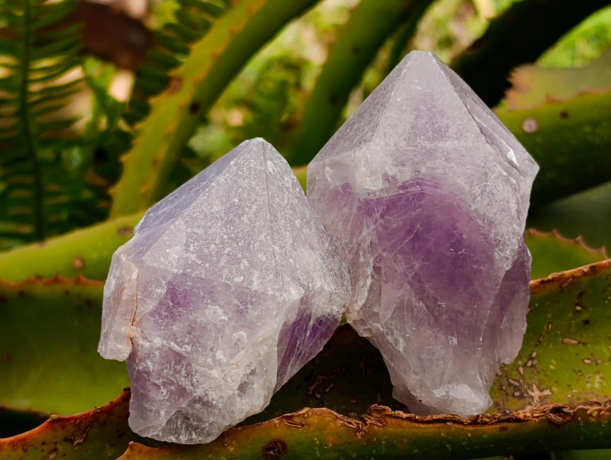 Natural Jacaranda Amethyst Single Crystals x 24 From Mumbwa, Zambia - Toprock Gemstones and Minerals 