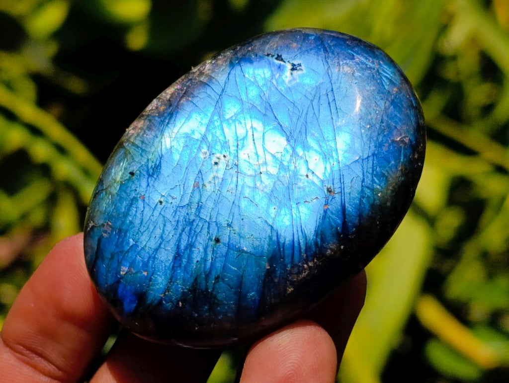 Polished Mixed and Highly Selected Palm Stones x 24 From Madagascar - Toprock Gemstones and Minerals 