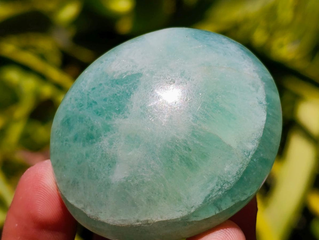 Polished Mixed and Highly Selected Palm Stones x 24 From Madagascar - Toprock Gemstones and Minerals 