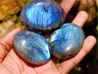 Polished Mixed and Highly Selected Palm Stones x 24 From Madagascar - Toprock Gemstones and Minerals 