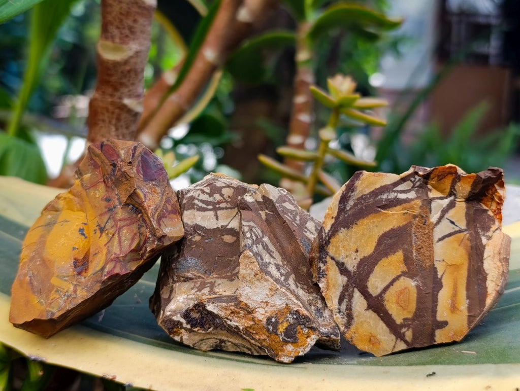 Natural Nguni Jasper Cobbed Specimens x 6.28kg Lot From Northern Cape, South Africa - Toprock Gemstones and Minerals 